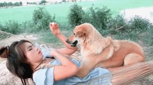 Красивая девочка играет с собаками - Beautiful Girl & Dogs