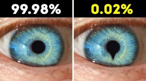 Удивительные факты о человеческом теле, в которые невозможно поверить!