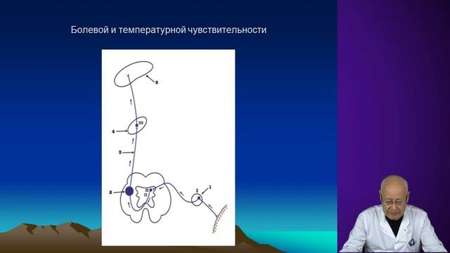 Проводящие пути смотреть онлайн