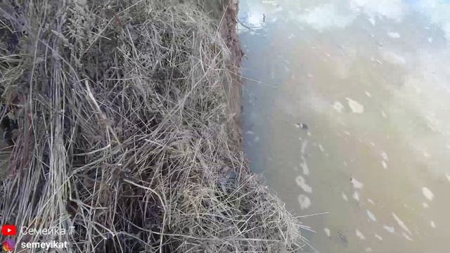 Наш пруд набрался водой. Проблемы с берегами пруда весной. Искусственный пруд на участке с рыбой и? смотреть онлайн