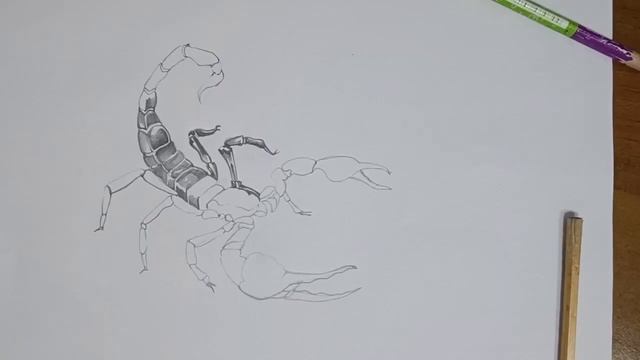 татуировка Кострома скорпион смотреть онлайн