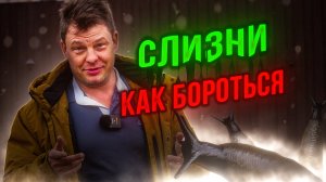 эффективные методы борьбы со слизнями которые я испытывал в прошлом сезоне