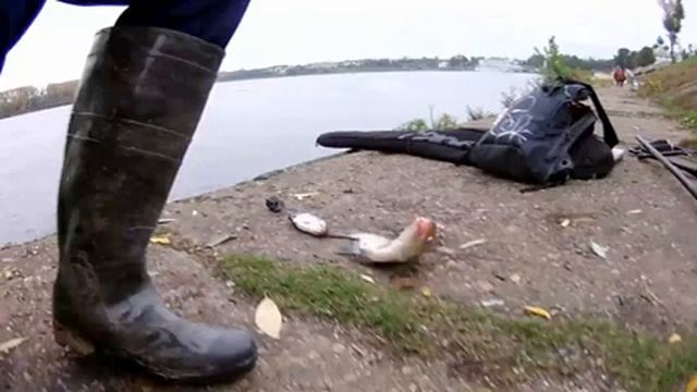 Рыбалка в Угличе ... смотреть онлайн