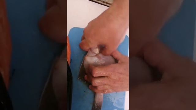 Как легко почистить камбалу #shorts смотреть онлайн