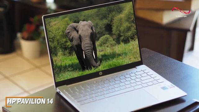 Best 5 ✅ HP Laptops ( 2023 ) ✅ смотреть онлайн
