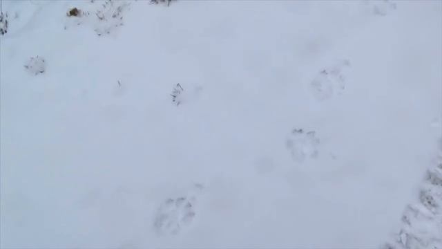 A WINTER TO REMEMBER (Trailer) смотреть онлайн