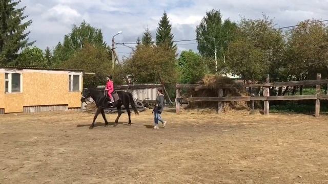 Тренировка. Верховая езда для ребёнка. Оля на лошади по кличке Прогулка смотреть онлайн