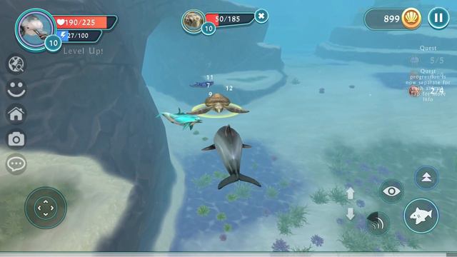 Dolphin Cub | Ocean World Wildcraft #4 смотреть онлайн
