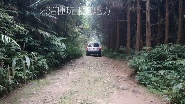 蓬萊林道 Ford Escape 3.0 смотреть онлайн