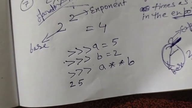 Arithmetic Operators in Python || Class 11 IP & CS CBSE смотреть онлайн