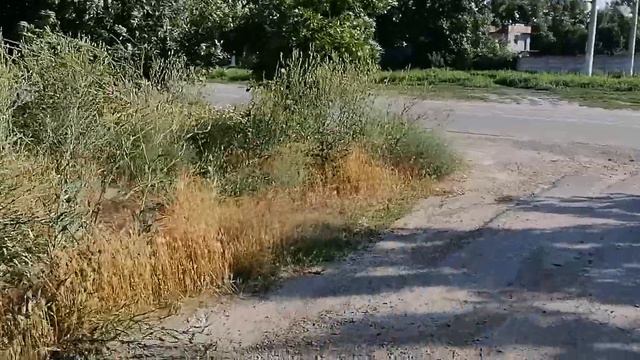 г. Каменск-Шахтинский (Ростовская область) смотреть онлайн