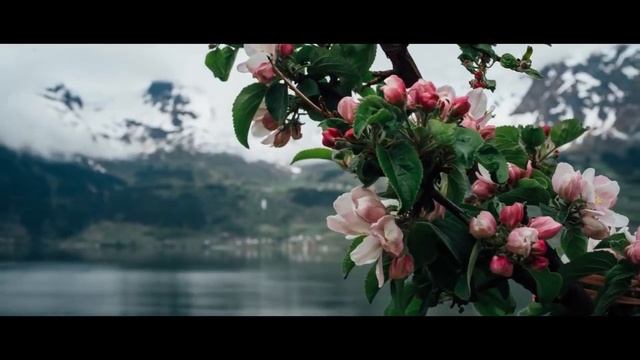 ?Маргинал о ТРАДИЦИИ смотреть онлайн