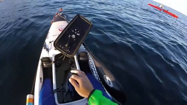 Sea Point, Cape Town Kayak Fishing! Starring Scotty!! смотреть онлайн