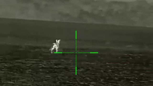 Лиса 50 метров. Iray rico rl 42 смотреть онлайн