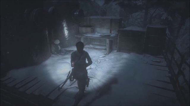 Rise of the Tomb Raider: Cold Darkness Awakened - Document 3/8 location смотреть онлайн