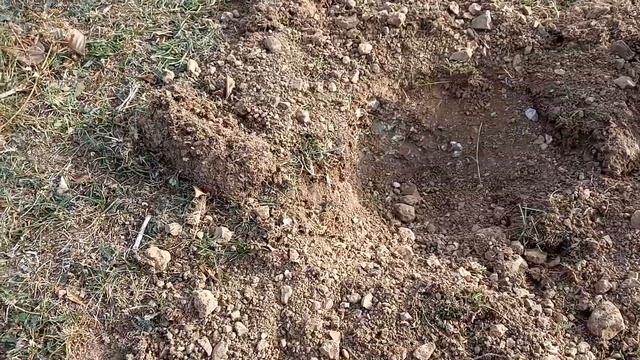 Восточный коп.Небольшой кошель Золотой Орды смотреть онлайн