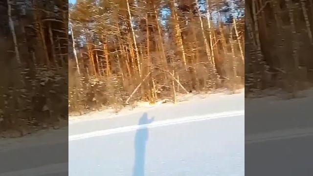 БУРЛАК М ЗАСТРЯЛ.Рыбалка зимой.ч 3.Russian fishing. смотреть онлайн