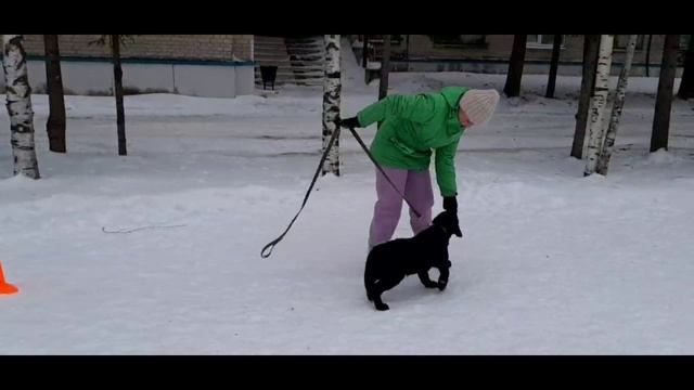 Рады присоединившимся. 2 этап эстафета