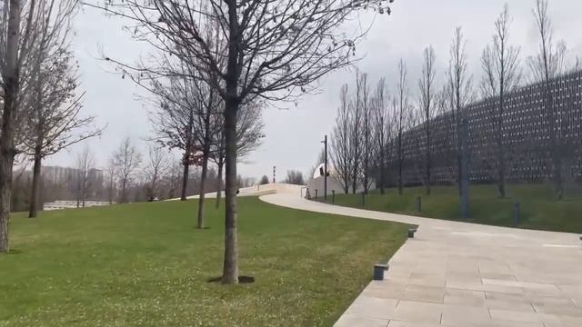 Растения в Сгущенке и Парк Галицкого в марте | Что творится в Краснодаре смотреть онлайн