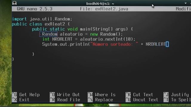 Gerando números aleatórios em java usando a classe Random. смотреть онлайн