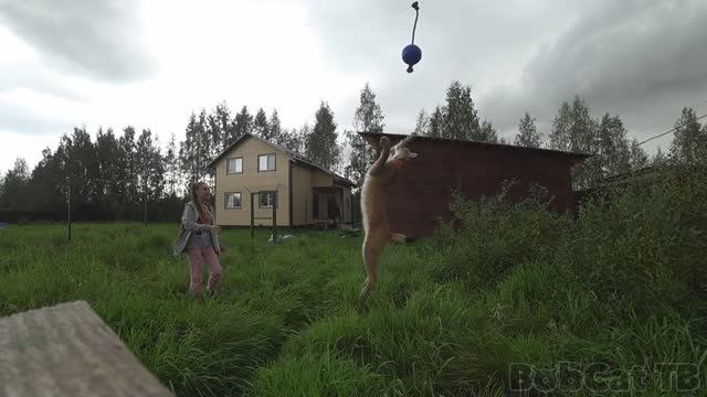 ЛЕТУЧАЯ РЫСЬ.