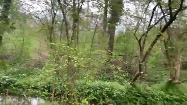 Доброе утро. Вопрос дня от Марины. Что это и что с ним делать. смотреть онлайн