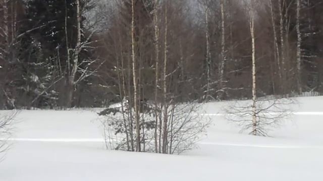 21. Bearcat WT 660 Turbo - Заваливание снегохода освоено. смотреть онлайн