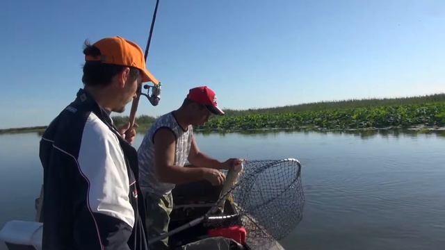 Рыбалка на спининг, ловля щуки, окуня, жереха и судака смотреть онлайн