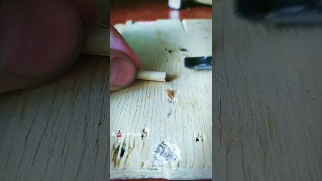 Столярные секреты. Деревянный анкер в разрезе #shorts,#стройхак,#столяркадерево,#macrozoom смотреть онлайн