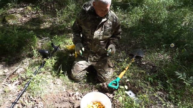 ЛЕСНОЙ ШУРФ С MINELAB X-TERRA 705 смотреть онлайн