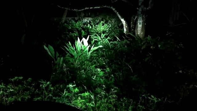 Novsight LED Vs Halogen |Karizma R vs Honda Activa Headlight comparison смотреть онлайн