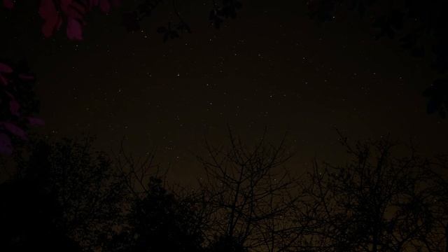 20231015 South Stars in cold trees (8K) смотреть онлайн