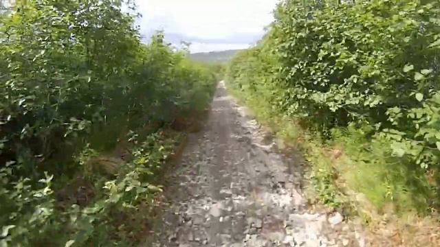 Дорога на Головные ч.2 27 июня 2019 г. смотреть онлайн