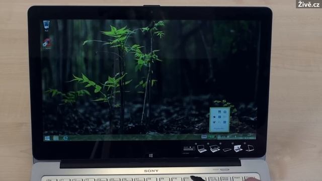 Notebook Sony Vaio Fit multi-flip 13A смотреть онлайн