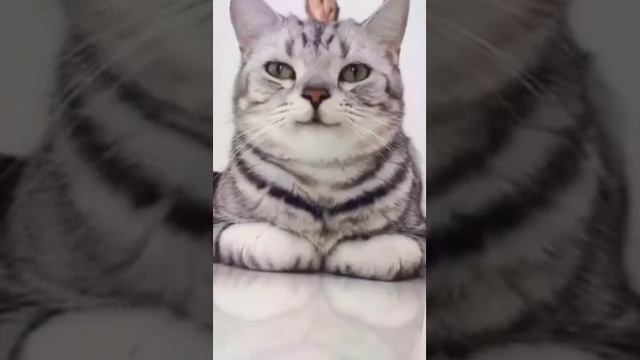 Такой позитивный смотреть онлайн