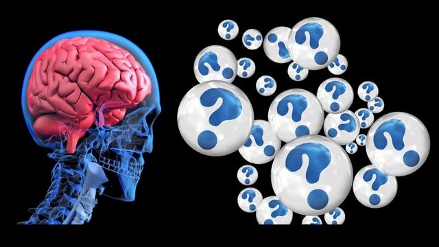 Что у тебя внутри головы? Функции и тайны мозга человека. Интересные факты смотреть онлайн