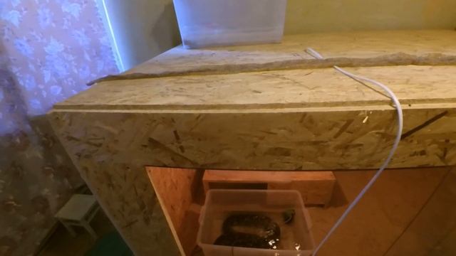 Анаконда в доме Это просто удивительно Я в шоке смотреть онлайн