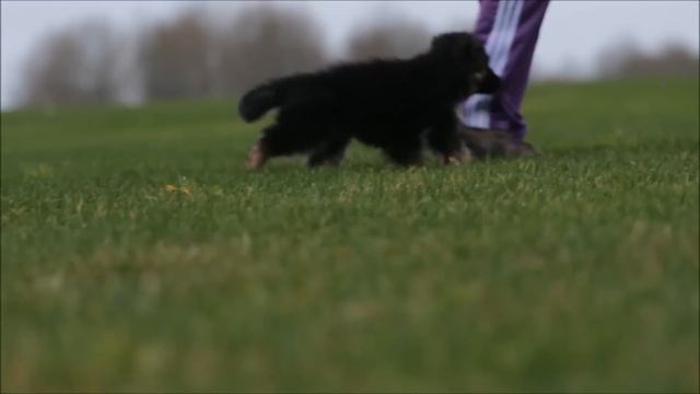 Плюшевый бутузик смотреть онлайн