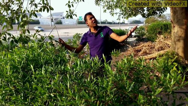 Zahir Raihan - Bangla Song смотреть онлайн