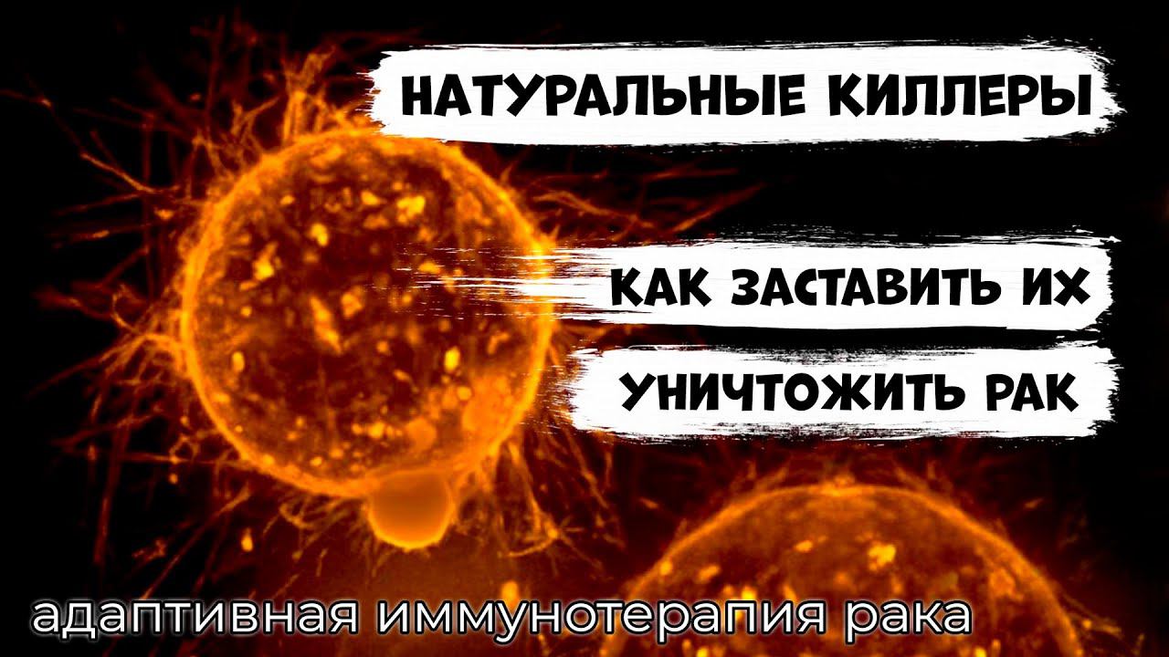 Иммунотерапия НАТУРАЛЬНЫМИ КИЛЛЕРАМИ рака. Перспективное направление лечения онкозаболеваний смотреть онлайн