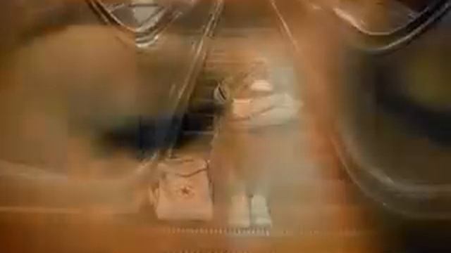 Светлана Светикова - Позови меня