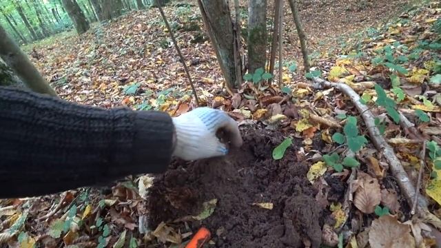 Находка заставила встать на колени!!! Поиск злата серебра! смотреть онлайн