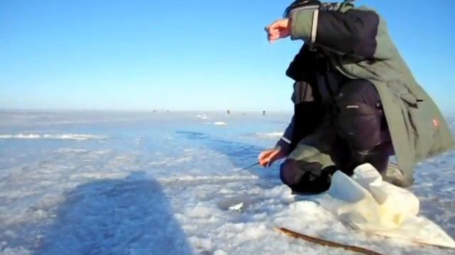 Клев плотвы смотреть онлайн