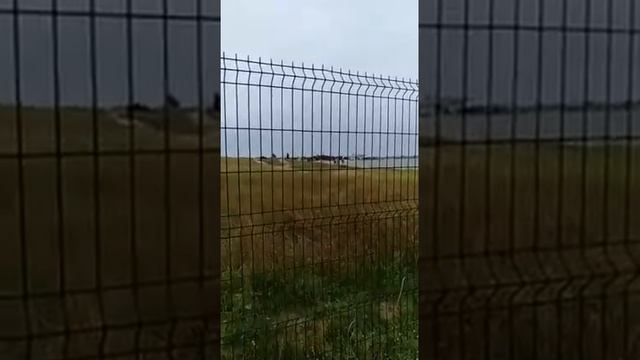 Забор есть - порядка нет. Калос Лимен за решёткой. смотреть онлайн