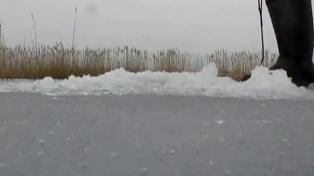 Ловля щуки зимой на жерлицы на торфяниках смотреть онлайн