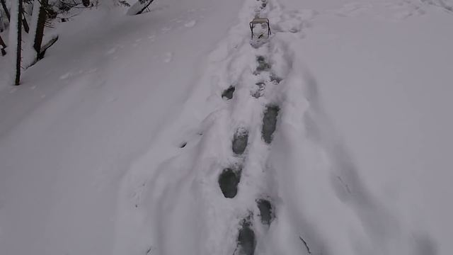 ЗА ЯНВАРСКИМ ХАРИУСОМ \ ЖИЗНЬ В ТАЙГЕ \ Часть 3 \ ДОМОЙ смотреть онлайн