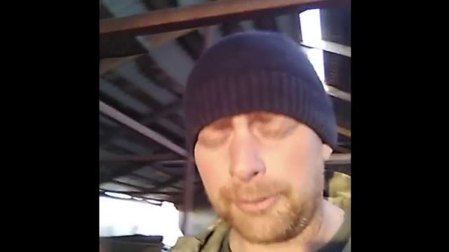 VK. Свиноводство. Увеличиваем поголовье. Инбридинг. Наша природа смотреть онлайн