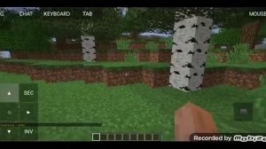 Как играть по сети в Minecraft Java на телефоне гайд