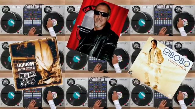 Megamix: Mambo n°5 - Chihuahua (Lou Bega - Dj Bobo) смотреть онлайн