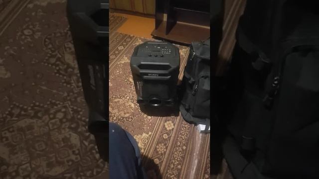Чехол-рюкзак для Sven PS 650 смотреть онлайн